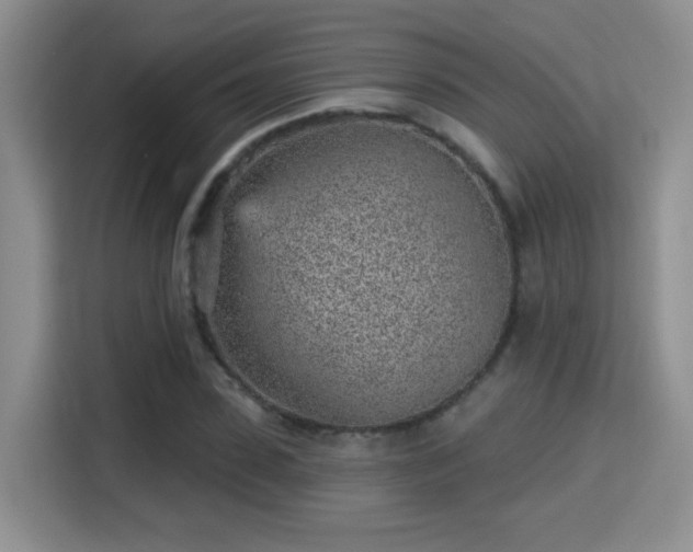 X0000115380923200911101303