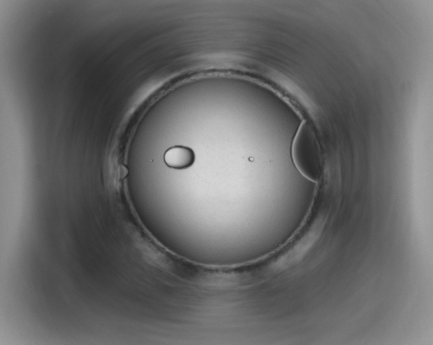 X0000115380925200911101303