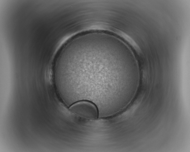 X0000115380926200911101303
