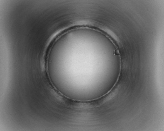 X0000115380927200911101303