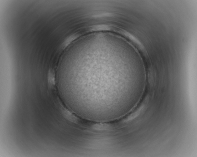 X0000115380929200911101303