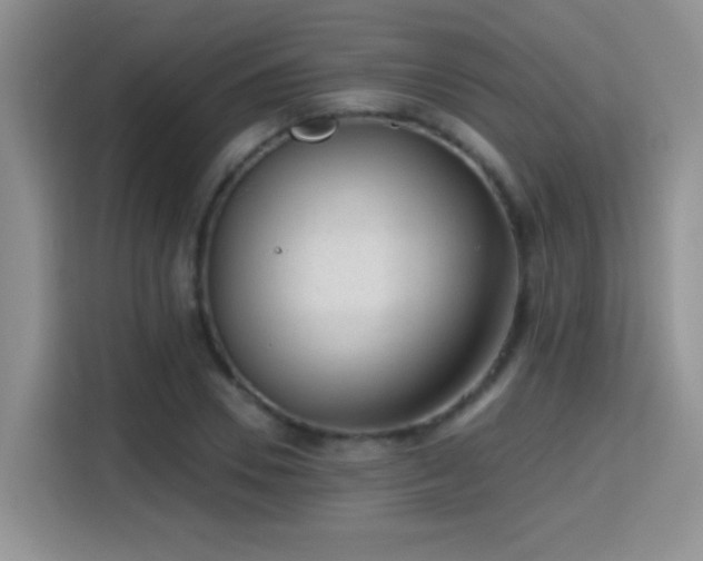 X0000115380930200911101303