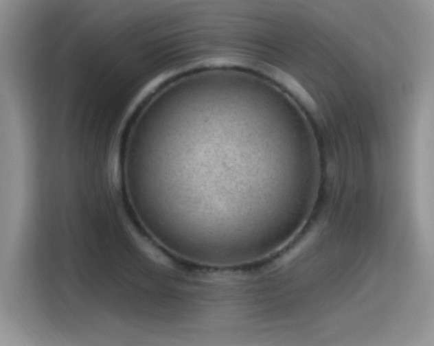 X0000115380934200911101303