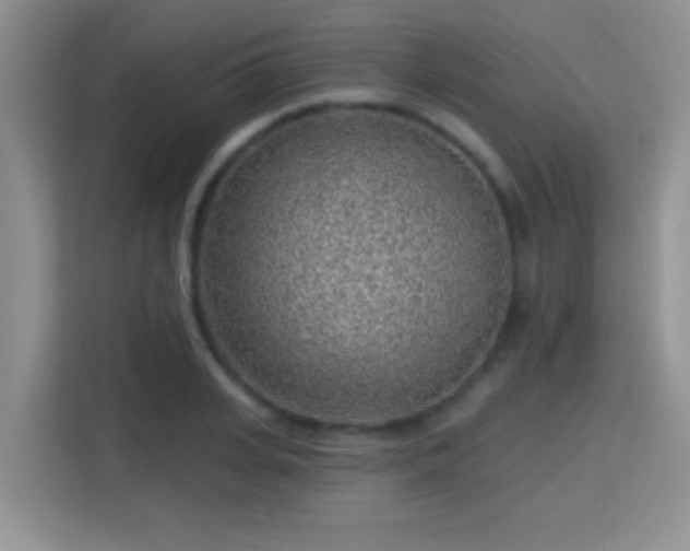 X0000115380935200911101303
