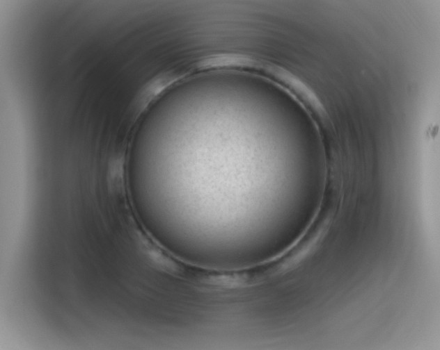 X0000115380937200911101303