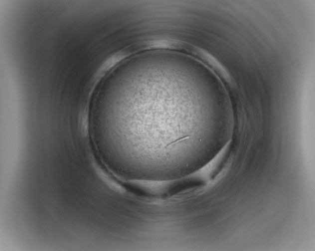 X0000115380938200911101303
