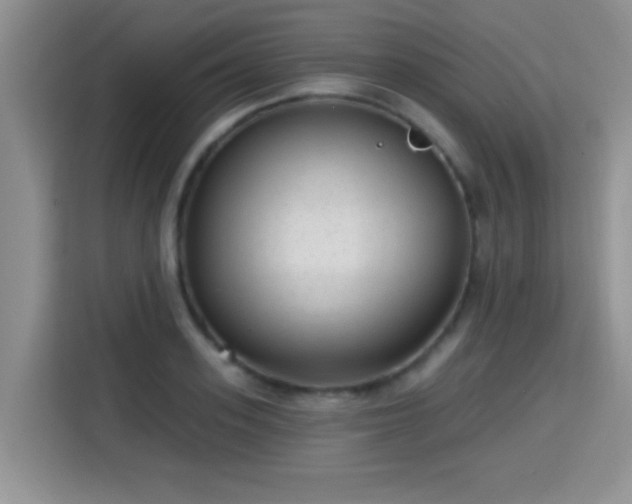X0000115380939200911101303