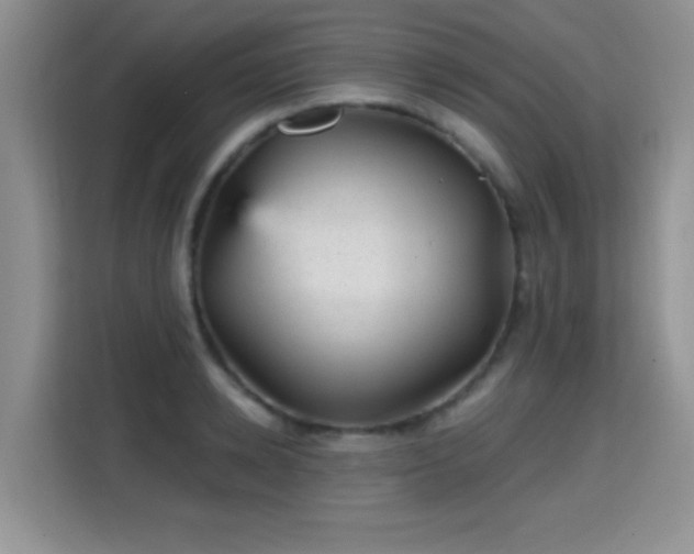 X0000115380942200911101303
