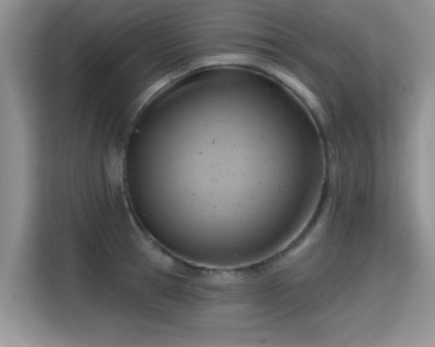 X0000115380945200911101303