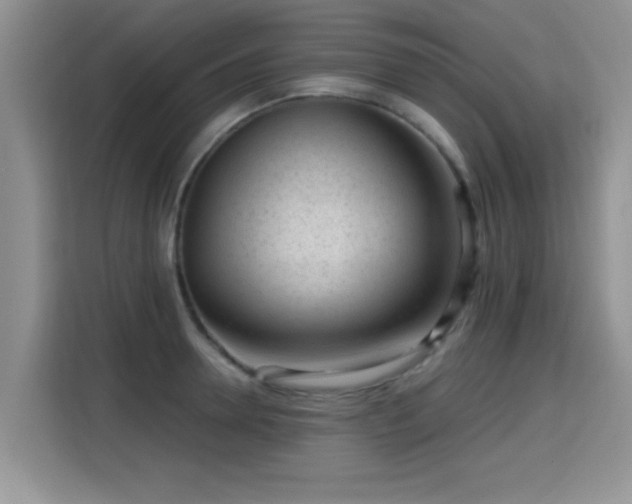X0000115380946200911101304