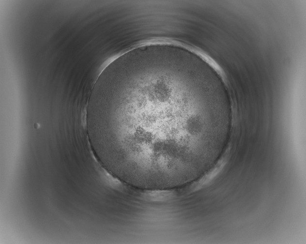 X0000115380953200911101304