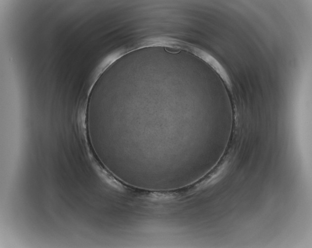 X0000115380954200911101304