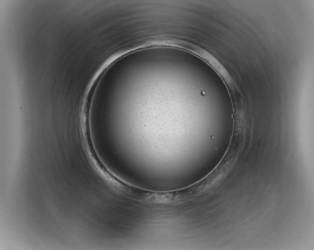 X0000115380955200911101304