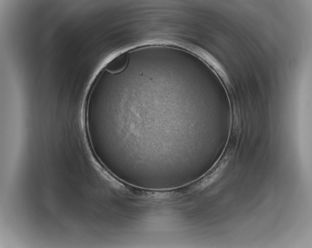 X0000115380958200911101304