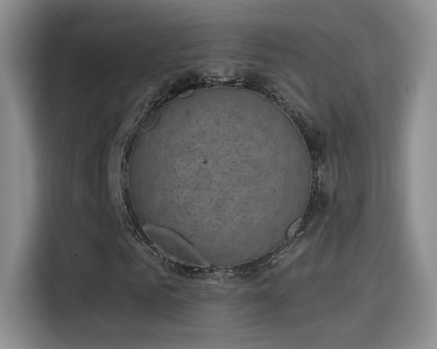 X0000115380961200911101303