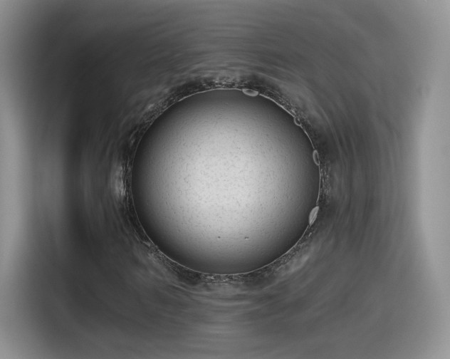 X0000115380962200911101303