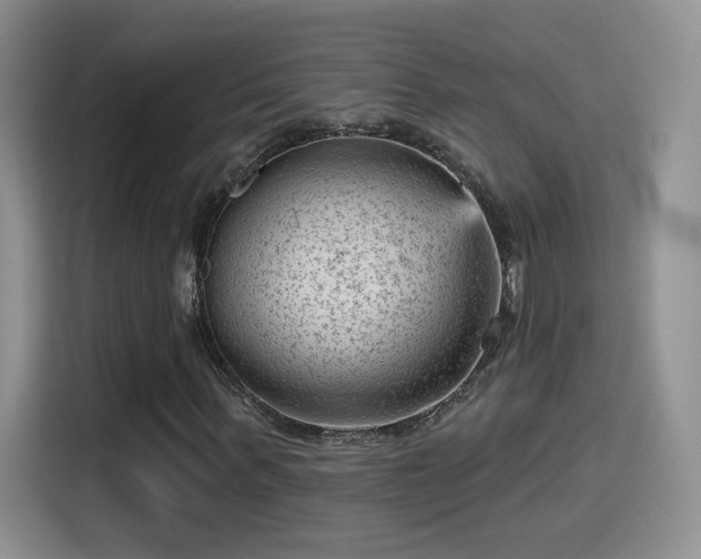 X0000115380963200911101303