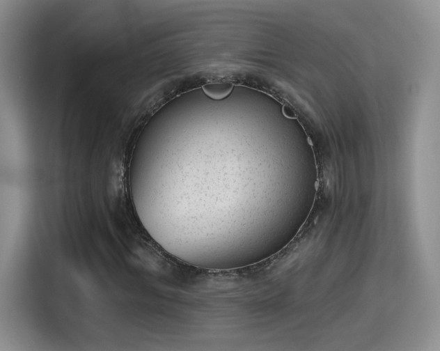 X0000115380964200911101303