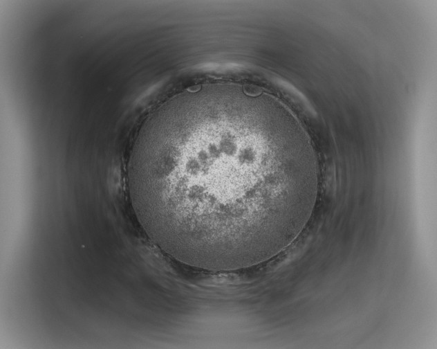 X0000115380966200911101303