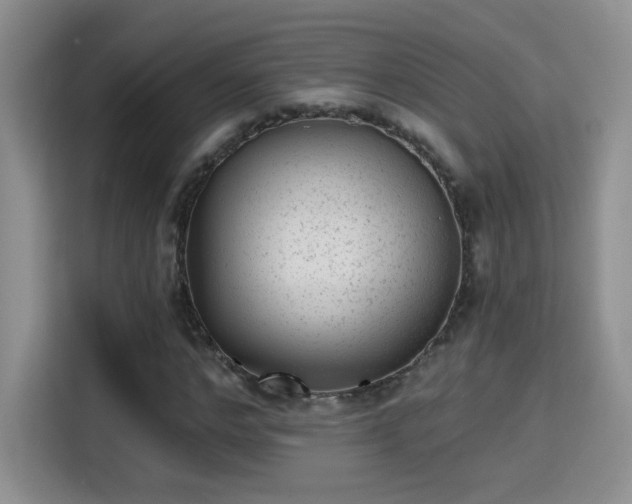 X0000115380968200911101303