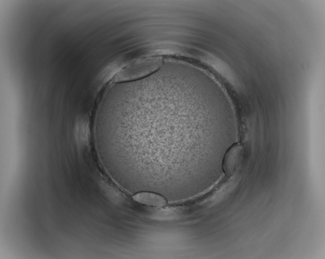 X0000115380969200911101303