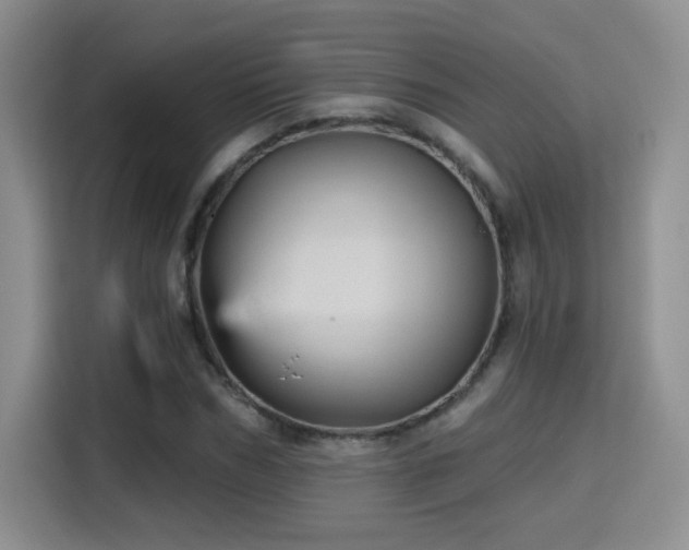 X0000115380970200911101303