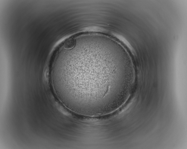 X0000115380971200911101303