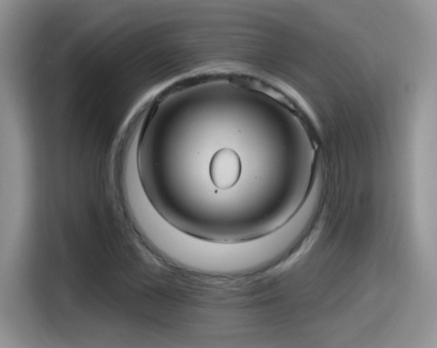X0000115380973200911101303