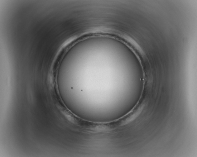 X0000115380974200911101303