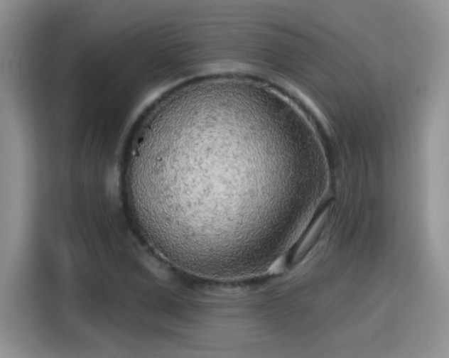 X0000115380975200911101303