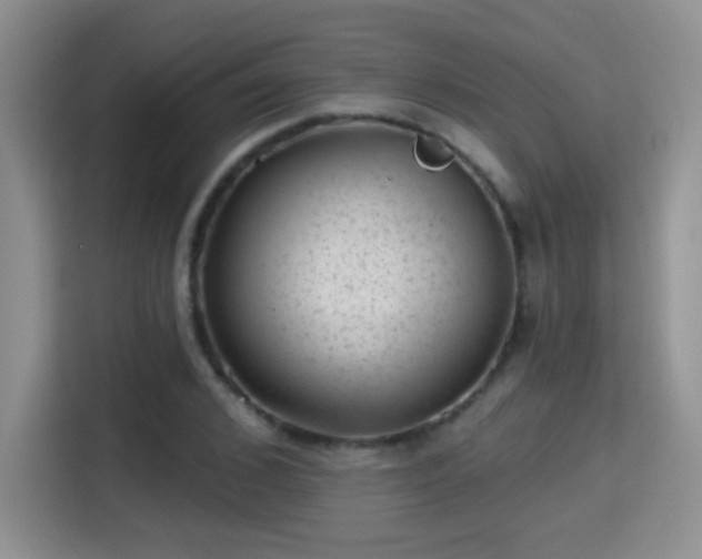 X0000115380976200911101303