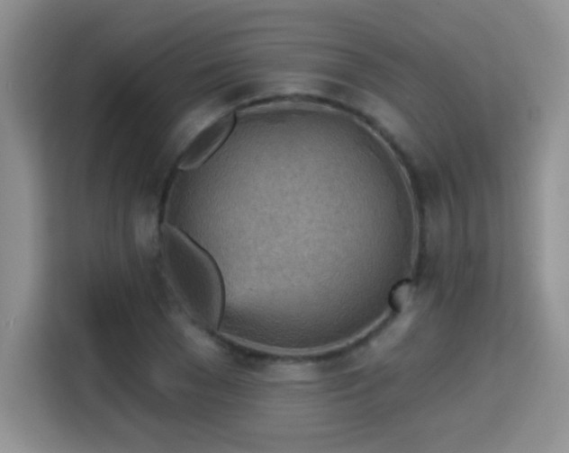 X0000115380977200911101303