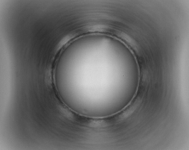 X0000115380978200911101303
