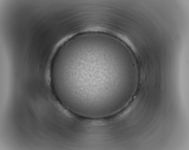 X0000115380979200911101303