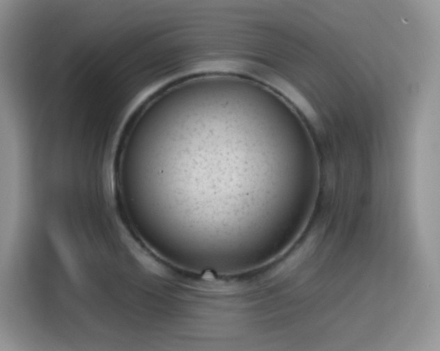 X0000115380980200911101303