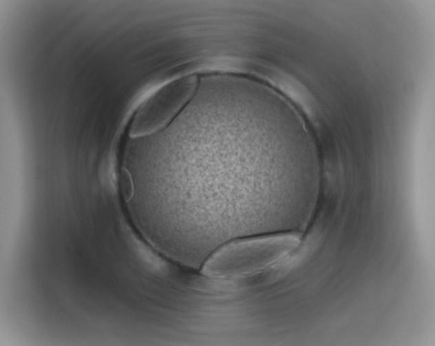 X0000115380981200911101303