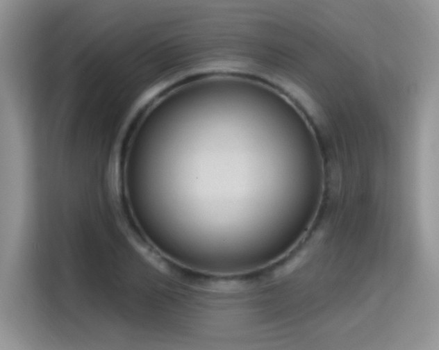 X0000115380982200911101303