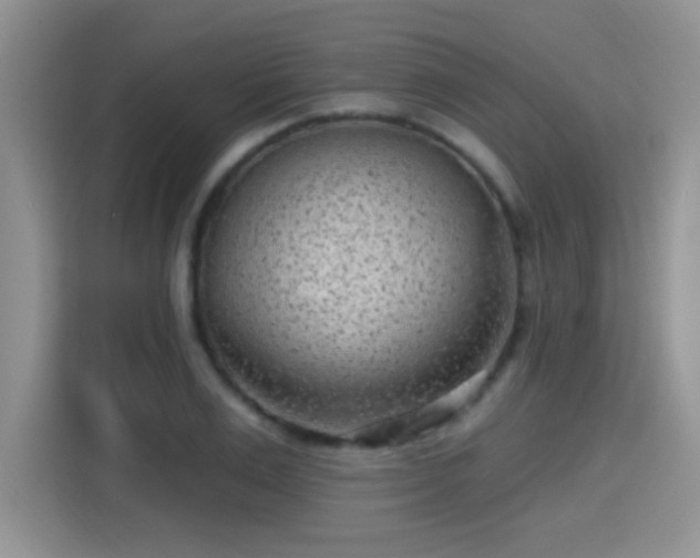 X0000115380983200911101303