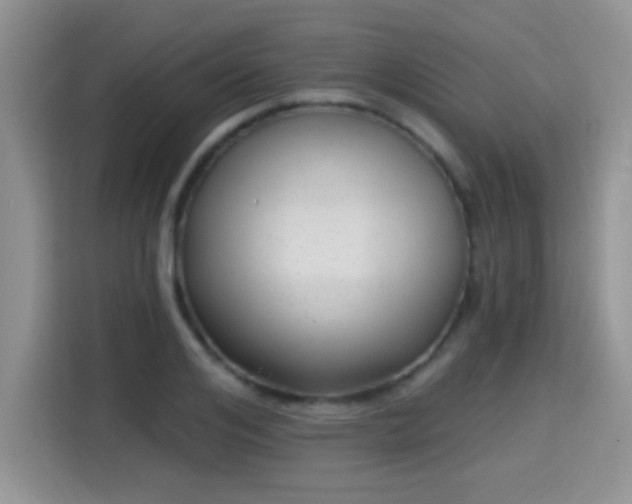 X0000115380984200911101303