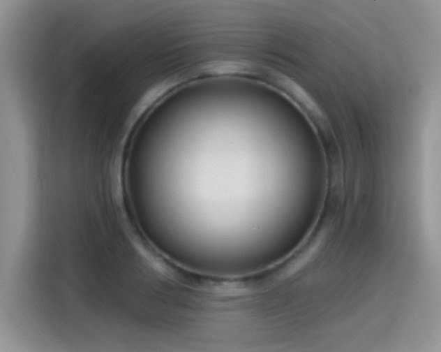 X0000115380986200911101303