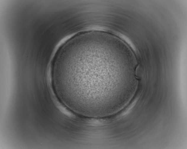 X0000115380987200911101303