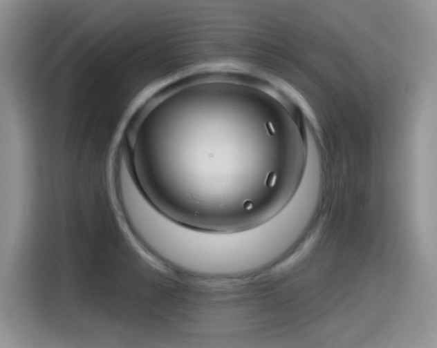 X0000115380989200911101303