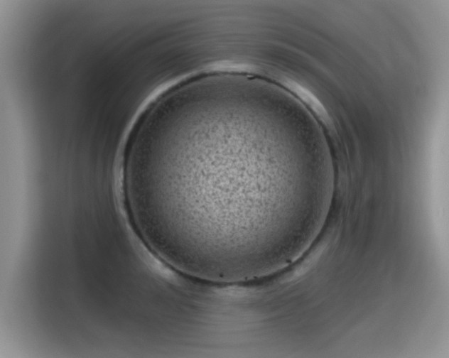X0000115380992200911101303
