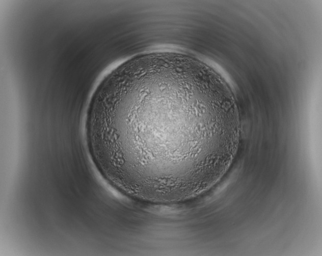 X0000115380995200911101303