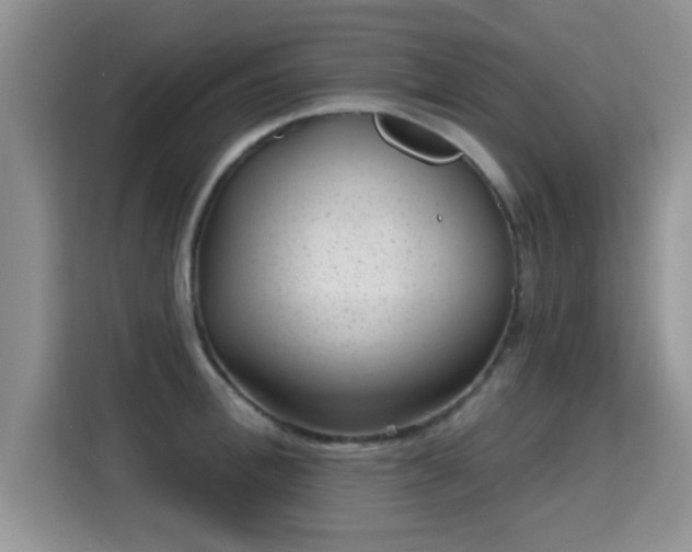 X0000115380996200911101303