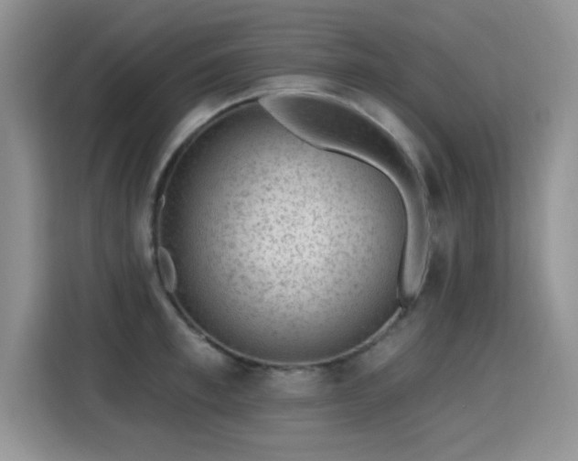 X0000115380997200911101303