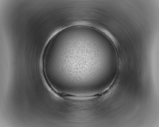 X0000115380999200911101303