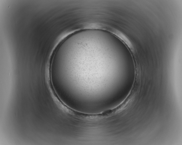 X0000115381000200911101303