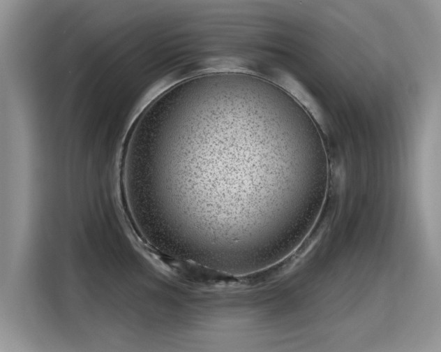 X0000115381002200911101303