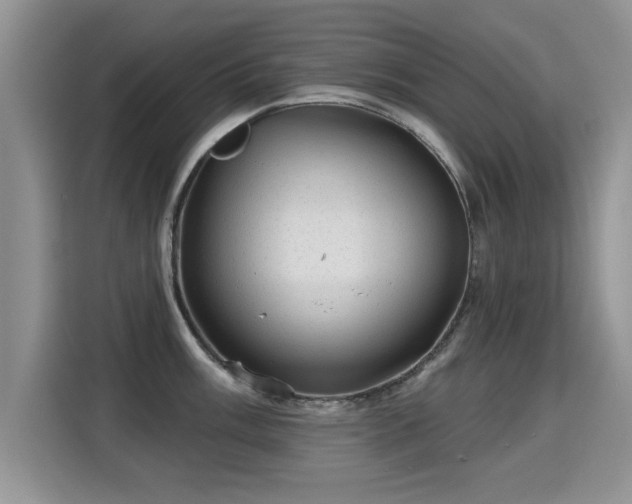 X0000115381003200911101303